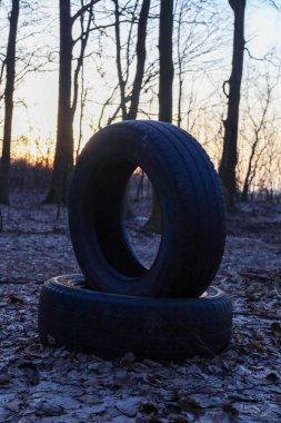 Akşam ormanının ortasında yere düşmüş yapraklarla kaplı iki eski araba lastiği. Dikey yerleştirilmiş bir lastiğin berrak silueti alacakaranlıkta yoğun ağaç gövdelerini kıran batan güneşin yumuşak ışığına karşı duruyor..