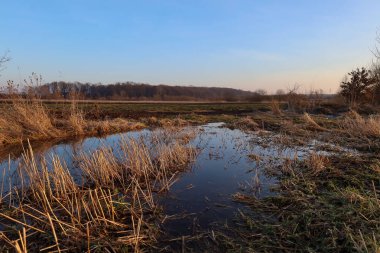 Zirai bir arazinin ortasındaki küçük bir gölet, uzak bir orman hattının zeminine karşı açık mavi bir gökyüzünü yansıtır. Yumuşak bir akşamın altında kuru ot ve nemli toprak ilkbaharın erken saatlerinde huzurlu bir atmosfer taşır..