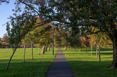 A sunlit park path lined with trees, featuring lush green grass and a clear blue sky. Autumnal foliage is visible in the distance in Harrogate, UK.