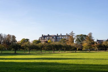 A large, multi-story building with a dark roof and many windows stands behind a line of trees with autumn foliage. A bright green lawn in the foreground is cast in shadow in Harrogate, UK.