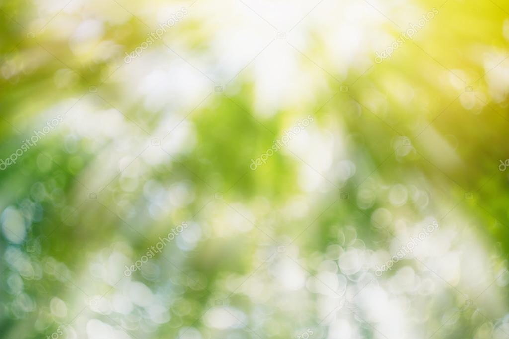 Natural green blur bokeh. Summer forest with bright sunlight as background  Stock Photo by ©Katrien1 108994138