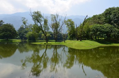 Göle yansıyan ağaçlar