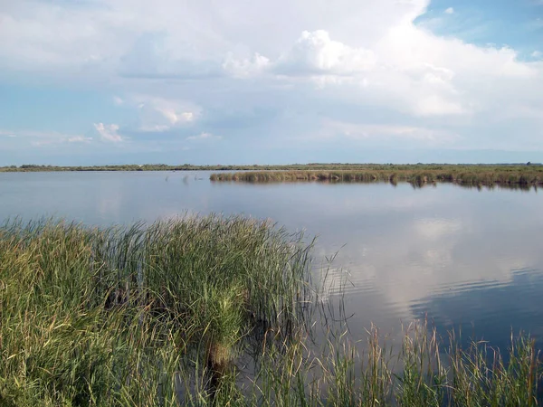 Superficie Lisa Del Agua Lago Con Cañas Fondo Del Cielo — Foto de Stock