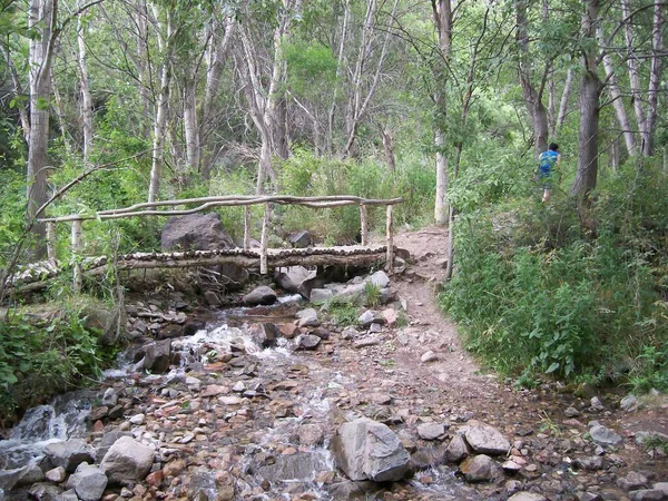 Dağlardaki geçit için nehrin üzerindeki tahta köprü.