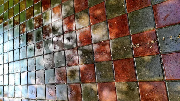 Bir parça ıslak kırmızı ve gri-yeşil kaldırım fayansları. Yüzey suyla parıldıyor, gökyüzünün yansımaları ve bulanık yaprakların gölgeleri..