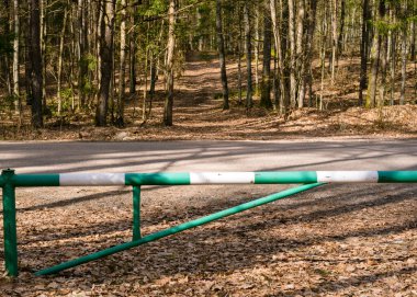 Bariyer ormandan yola kadar kapalı.