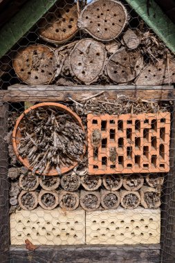 Ekolojik böcek çiftliği, ilkbaharda timsah ve ağaç fidanları olan güzel çiçek yatağı. Tahta böcek evi dekoratif böcek oteli, uğur böceği ve arı evi ve ekolojik bahçe..