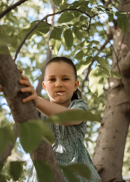 A little girl climbs a tree in the garden. Summer fun in nature