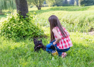 6 yaşında bir kız, parkta bir köpekle yürüyor. Fransız Bulldog yürümek, dinlenmek ve yalan söylemek istemiyor. Kız köpeği tasmasından çeker..