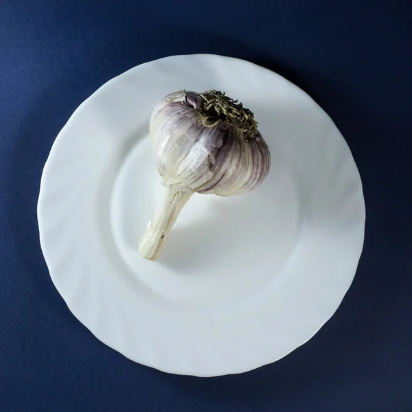 Garlic in white plate — Stock Photo, Image