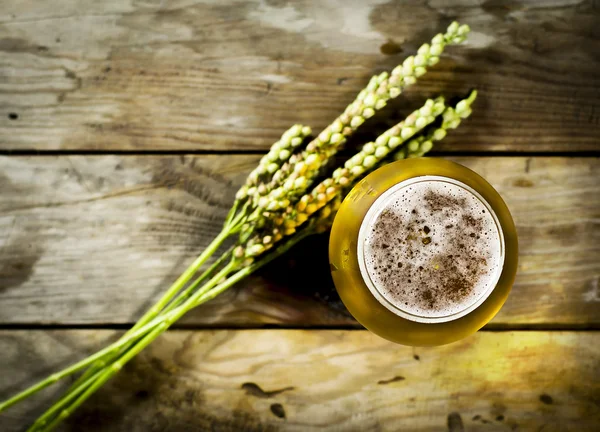 Glas kall öl med vetespikelets . — Stockfoto