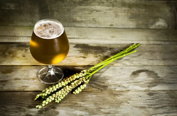 Glas kall öl med vetespikelets . — Stockfoto