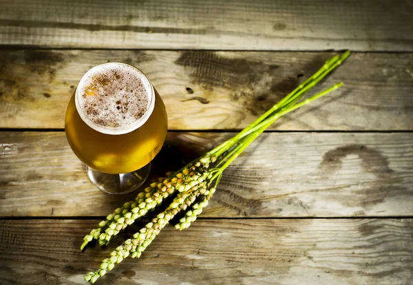 Glas kall öl med vetespikelets . — Stockfoto