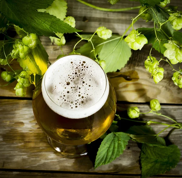 Gass de cerveja gelada com lúpulo — Fotografia de Stock