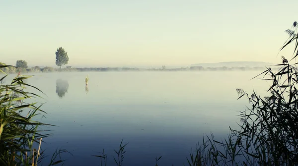 Misty lever de soleil sur un lac matin d'été — Photo