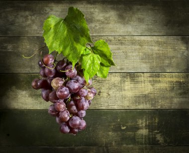 Olgun üzüm yaprakları ile demet.