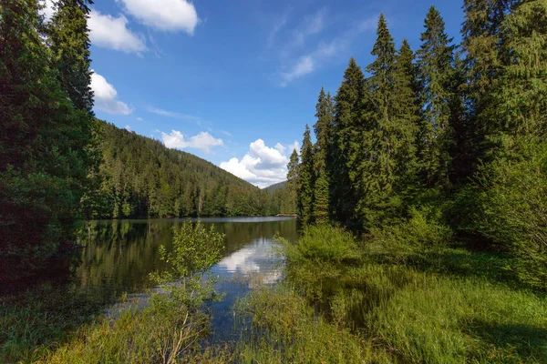 Красивое Горное Озеро Синевир Украина Природный Фон Карпат — стоковое фото