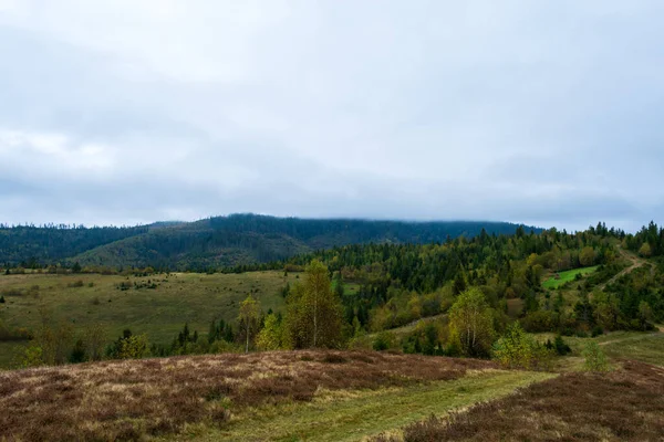Prachtig Herfstberglandschap Met Ochtendmist Karpaten Oekraïne Berglandschap — Stockfoto