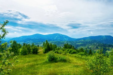 Güzel dağ manzarası. Karpatlar. Ukrayna. Trostyan Dağı. Seyahat, yürüyüş, dinlenme.