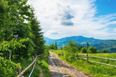 Dağ, toprak yol, güzel dağların arasında. Karpatlar. Ukrayna Seyahat Rahatlığı