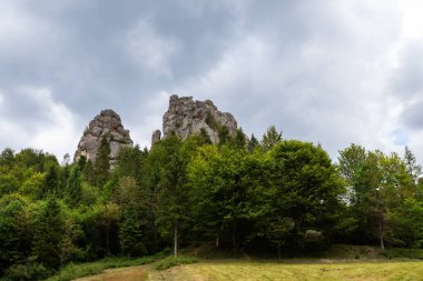 Ormandaki güzel kayalar. Bulutlu gökyüzü. Tustan. Ukrayna. Dağlar. Doğa Arkaplanı