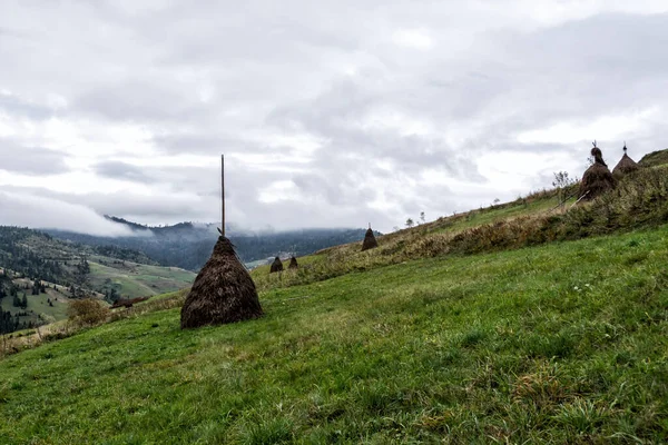 Haystack Egy Réten Hegyek Között Mezőgazdaság Tájkép — Stock Fotó