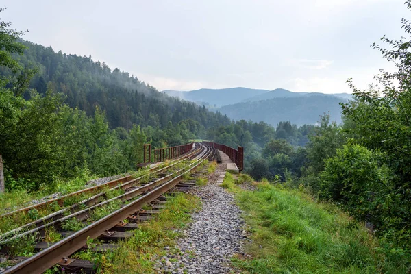 Pont Ferroviaire Dans Les Montagnes Gros Plan Carpates Ukraine Transports — Photo