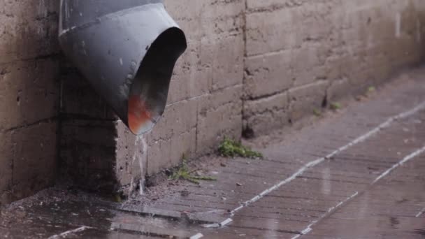 Rain water flowing from drain pipe closeup — Stock Video