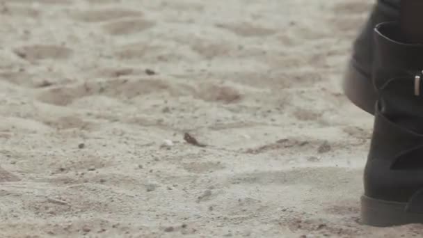 Benen van het meisje, die liep op het zand in zwarte schoenen. Closup schot — Stockvideo
