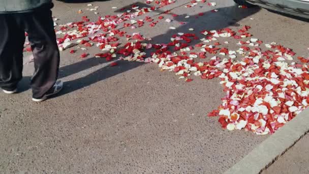 Un homme avec un balai balaie les pétales de rose du trottoir — Video