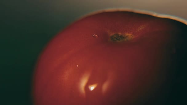 El agua gotea sobre el tomate. Primer plano, macro. Cambio de inclinación — Vídeos de Stock