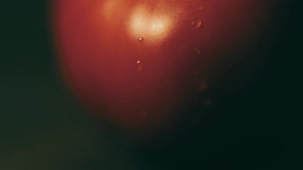 El agua gotea sobre el tomate. Primer plano, macro. Cambio de inclinación — Vídeo de stock