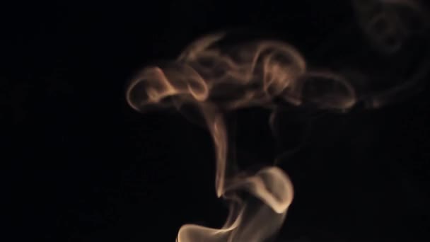 Beautiful wisp of smoke on a black background. Warm tone — Stock Video