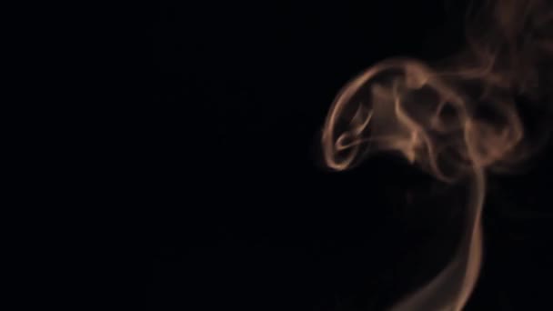 Beautiful wisp of smoke on a black background. Warm tone — Stock Video