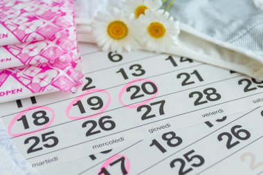 Sanitary pads , calendar , tampons , underwear with white daisies clipart