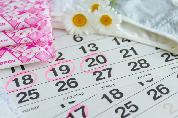 Kalendarz, tampony, Podpaski, Bielizna z białe stokrotki — Zdjęcie stockowe