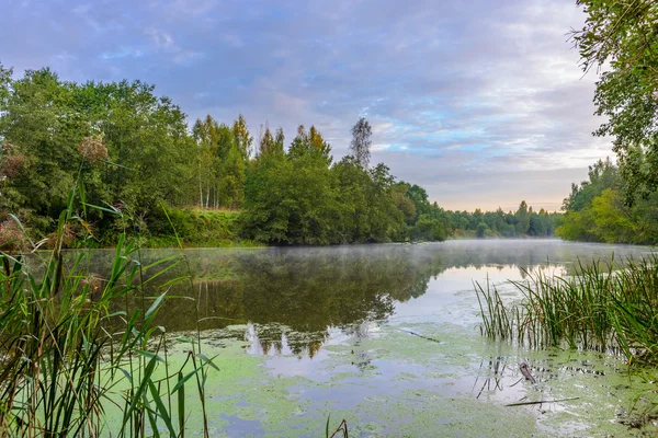 Nebel am Morgen im Spätsommer — Stockfoto