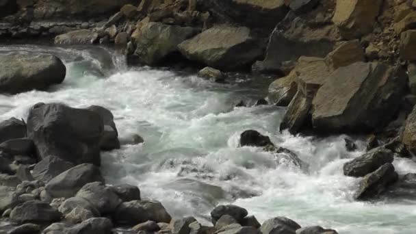 清らかな水の渓流 — ストック動画