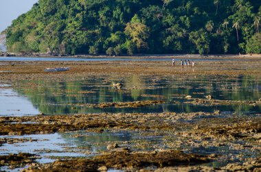 tür düşük gelgit El Nido Palawan yürüyüş