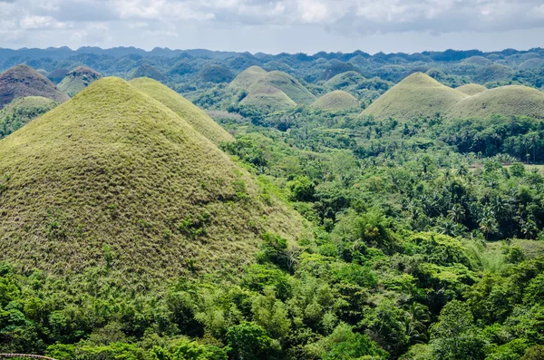 Chocolate Hills, Estate, Isola di Bohol, Filippine — Foto Stock