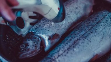 Tüm alabalık paslanmaz çelik tavada kızartılmış.