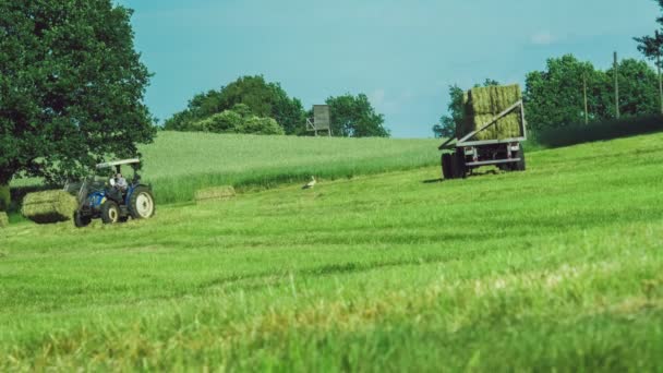 Agricultura y cosechadora, campo, Alemania — Vídeo de stock