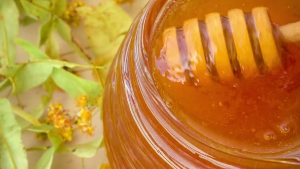 Göncöl mozgalom-ban egy Jar of Honey, Limetree hagy háttér méz — Stock videók