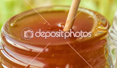 Kavanoz bal bal ayı, Limetree ile arka plan üzerinde bırakır. Yan kısa