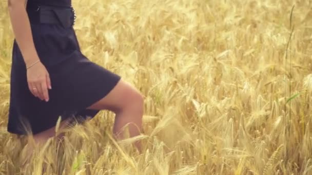 Dziewczyna w czarnej sukni na wietrze, idąc przez pola pszenicy suche. — Wideo stockowe