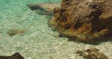 Hırvatistan 'ın Makarska kentinde kristal berrak turkuaz deniz suyu ve kayalara yakın çekim.