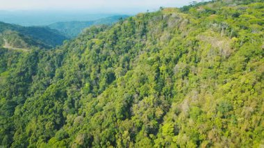 Kosta Rika 'da dolambaçlı yolu ve geniş ormanı olan dağlık yeşil bir arazi..