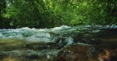 Hırvatistan 'da yaz günü hızlı akan Cetina nehri sık bir ormandan geçiyor.