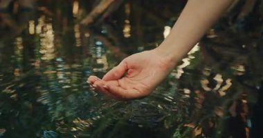 Gün doğumunda Meksika 'daki orman mezarlığından temiz su topluyor..