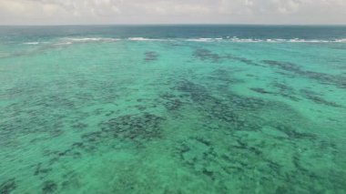 Parlak turkuaz su, Meksika 'daki Karayip Denizi' ndeki mercan resifini ortaya çıkardı..